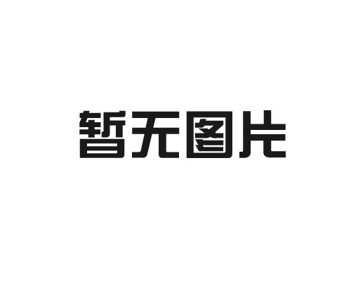 SDRB-N系列雙列式電動潤滑脂泵(31.5MPa)